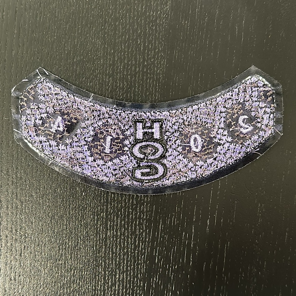 Harley-Davidson HOG 2014 Patch - Picture 4 of 4